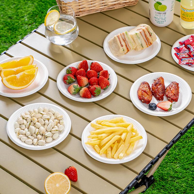 Temeiju 6-inch Biodegradable Disposable Plates