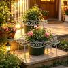 Supporto a Gabbia per Peonie Resistente alle Intemperie Supporto ad Anello per Crescita Antiruggine Impostazione Cortile