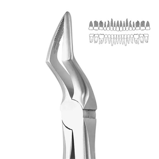 GDC Extraction Forceps Upper Roots - 51a Ergonomic (Fx51ae)