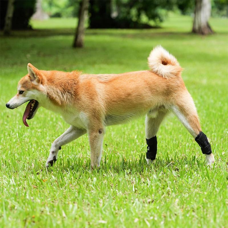 Pet Knee Pads Leg Pads After Surgery Leg Pads Pressurized Support Pads Stabilize Joints Anti-bite and Lick Leg Pads