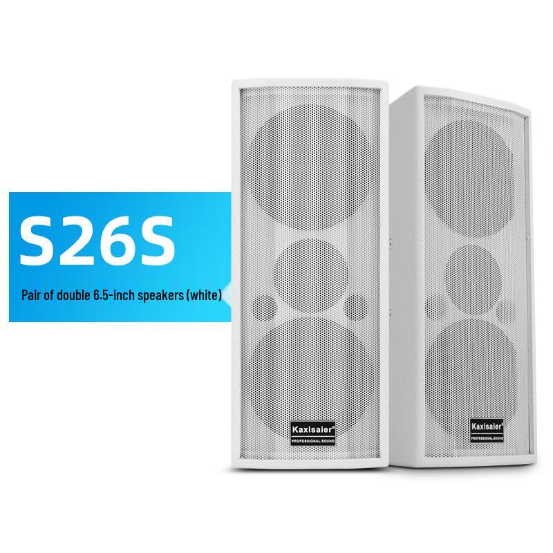 KAXISAIER Professional Passive Conference Speaker