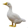 Künstliche Tierfigur für den Garten, Große Federfigur, Ente, Hahn, Kormoran, Henne