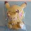 [Rare Item] Poke Piece Plush Toy (Ver. with Plush Toy) Pikachu
