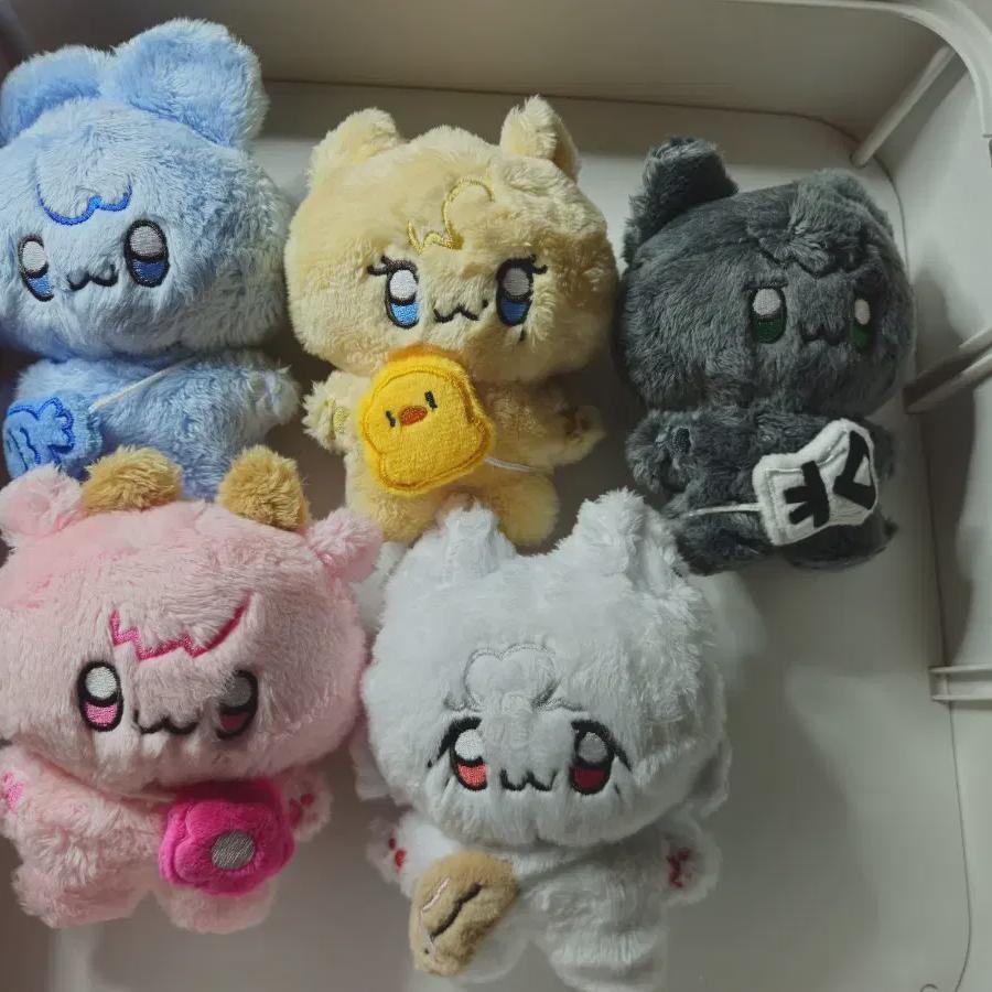 

PLAVE Бигонг Гуд продается оптом