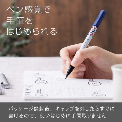 Pentel Brush Pen Pentel Fude Hajime Scale Pattern XGFD40CA2-A