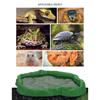3in1 MultiFunctional Plastic Reptiles Food Water Feeder Bowl Bath Bowl For Amphibians Feeding Bathing And Watering Supply