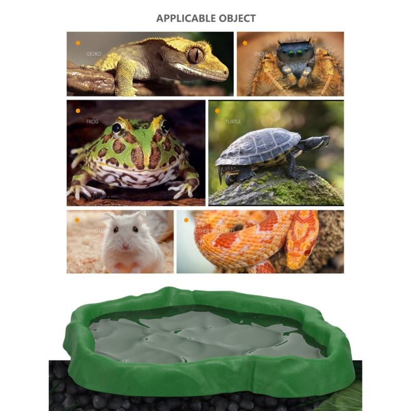 3in1 MultiFunctional Plastic Reptiles Food Water Feeder Bowl Bath Bowl For Amphibians Feeding Bathing And Watering Supply