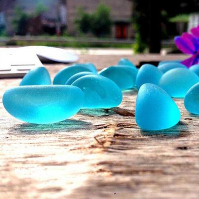 Žuvys ir jūros gyvūnai – Akvariumo dizainas