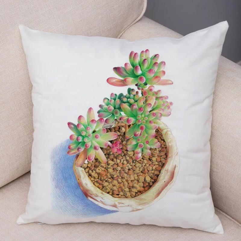Watercolor Succulents Decorative Pillowcase Office Living Room Car Ornaments Home Pillowcase