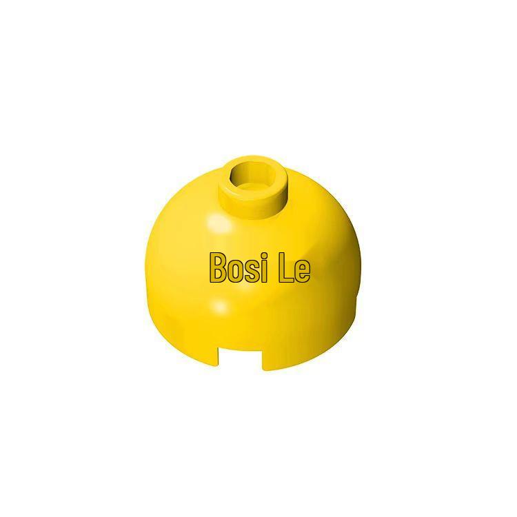 LEGO-Compatible 2x2 Round Educational Building Blocks, Loose Parts Toy 30367 18841