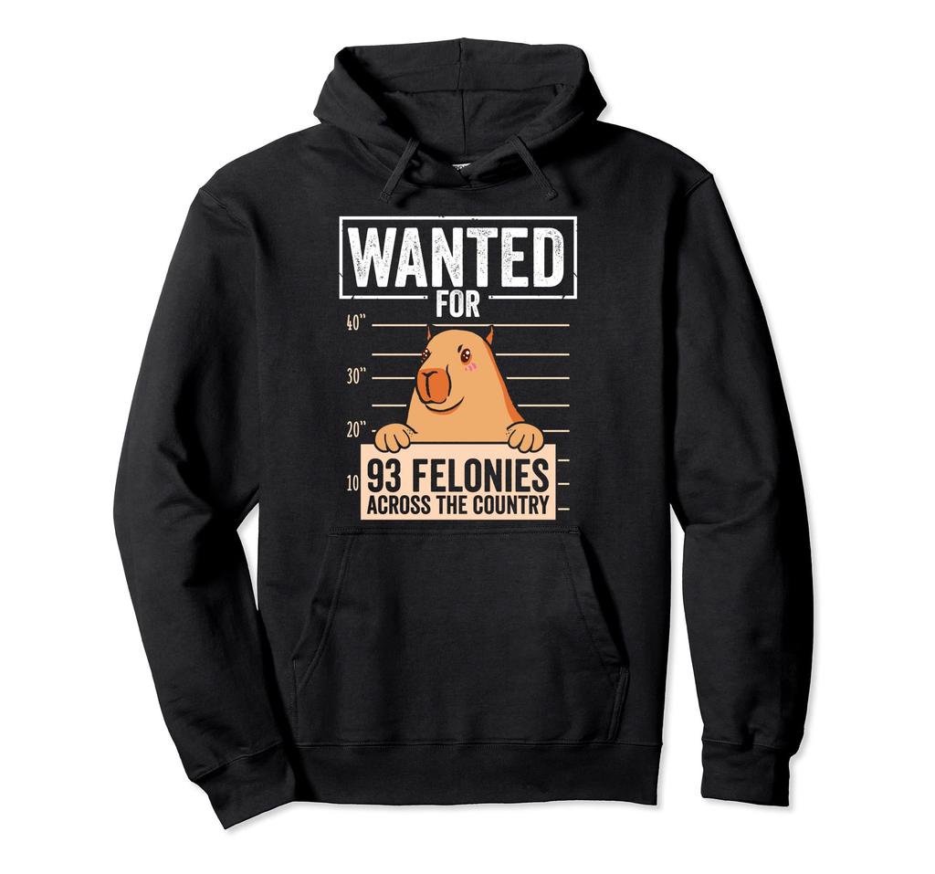 Wanted for 93 Felonies Funny Capybara Mugshot Hoodie