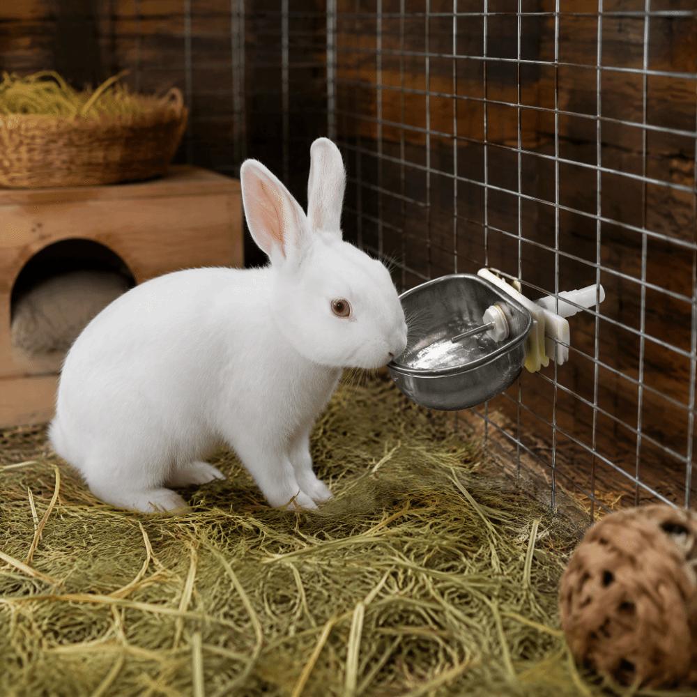 Plastic Pet Drinking Bowl Silver Pet Waterer Accessories Pet Water Bowl Small Animal Housing
