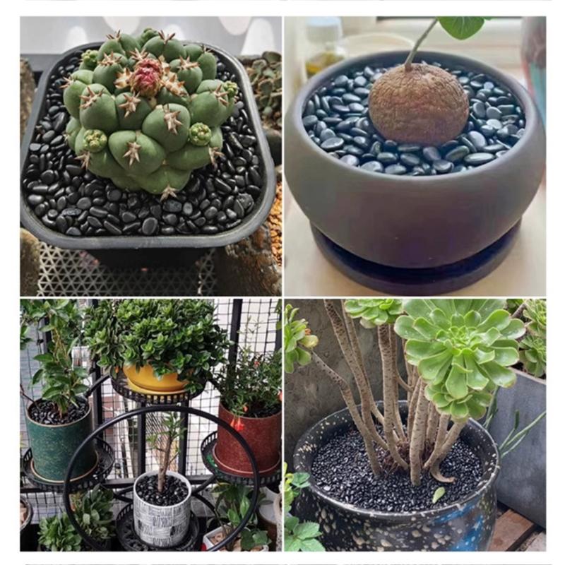 200~400g Pebbles 2-3cm Natural High Polished Potted Fish Tank Decorative Stone Garden Landscape Decoration Cobblestone TMZ