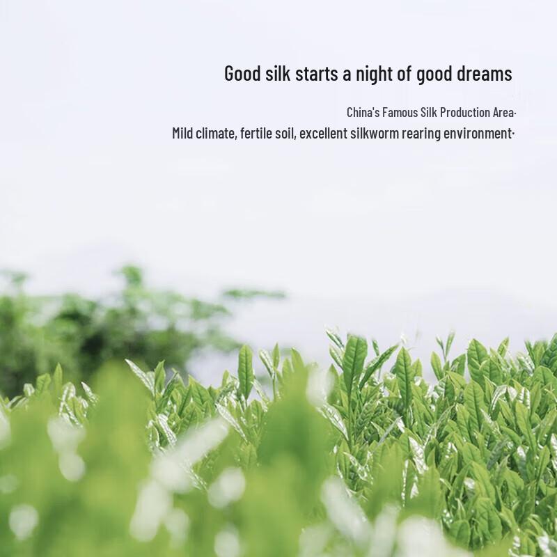 Mercury Yilan Fanghua 100% Silk Jacquard Quilt