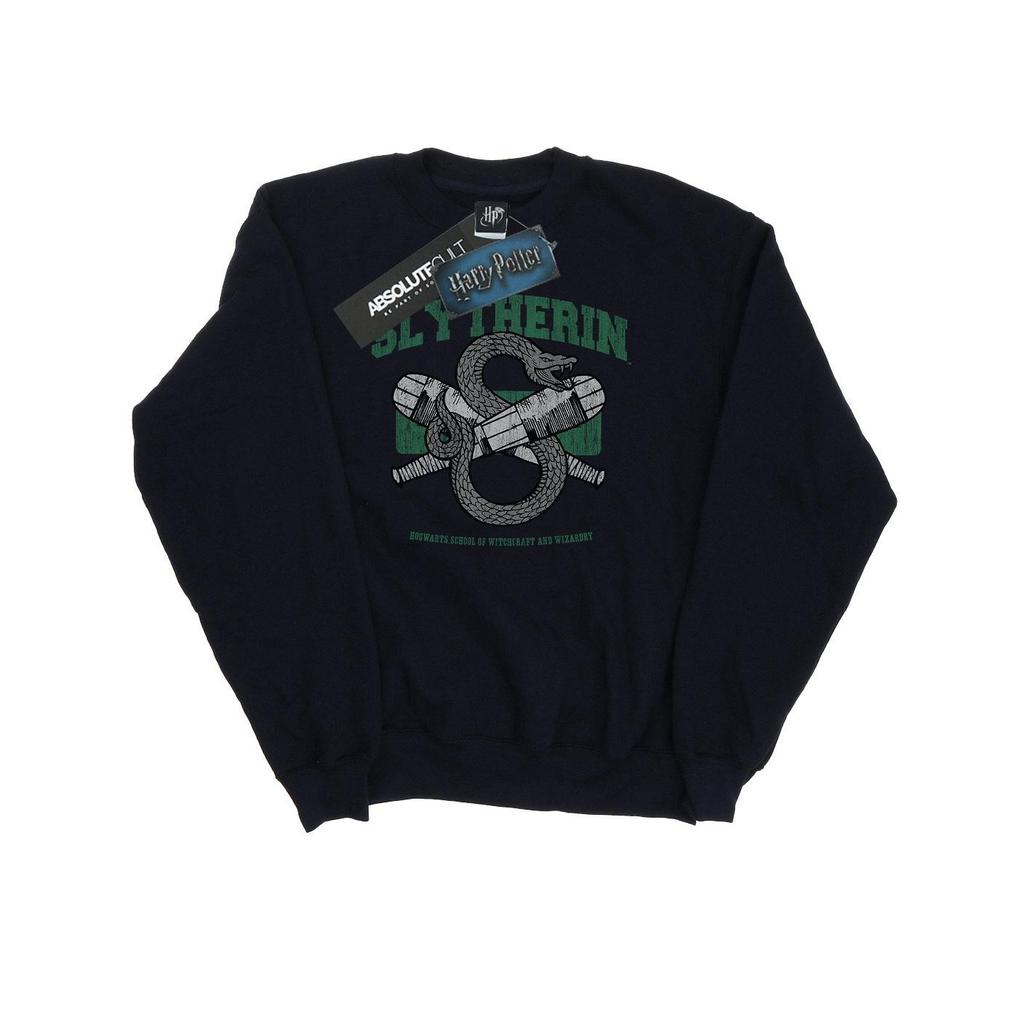 Harry Potter Womens/Ladies Slytherin Quidditch Emblem Sweatshirt
