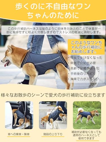 GIIPET - Dog Care Harness, Walking Aid for Senior Dogs, Injuries, Surgery, Recovery, and Illness, Easy to Put On and Take Off, Suitable for Small and