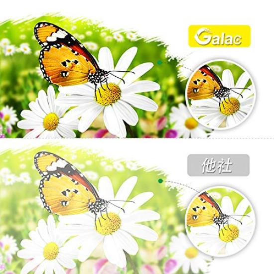 Canon Ink Cartridges with Compatible with PIXMA Printers BC-310 High-Yield (2 Cartridges) Indicator, (MP493, MP490, MP480, MP280, MP270, MX420, MX350,