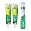 Tea Care Longjing Green Tea Toothpaste & Toothbrush Set