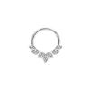 5pcs 16G Fashion 316L Stainless Steel CZ Hinged Septum Clicker Nose Hoop Rings,Daith Helix Tragus Cartilage Piercing Jewelry
