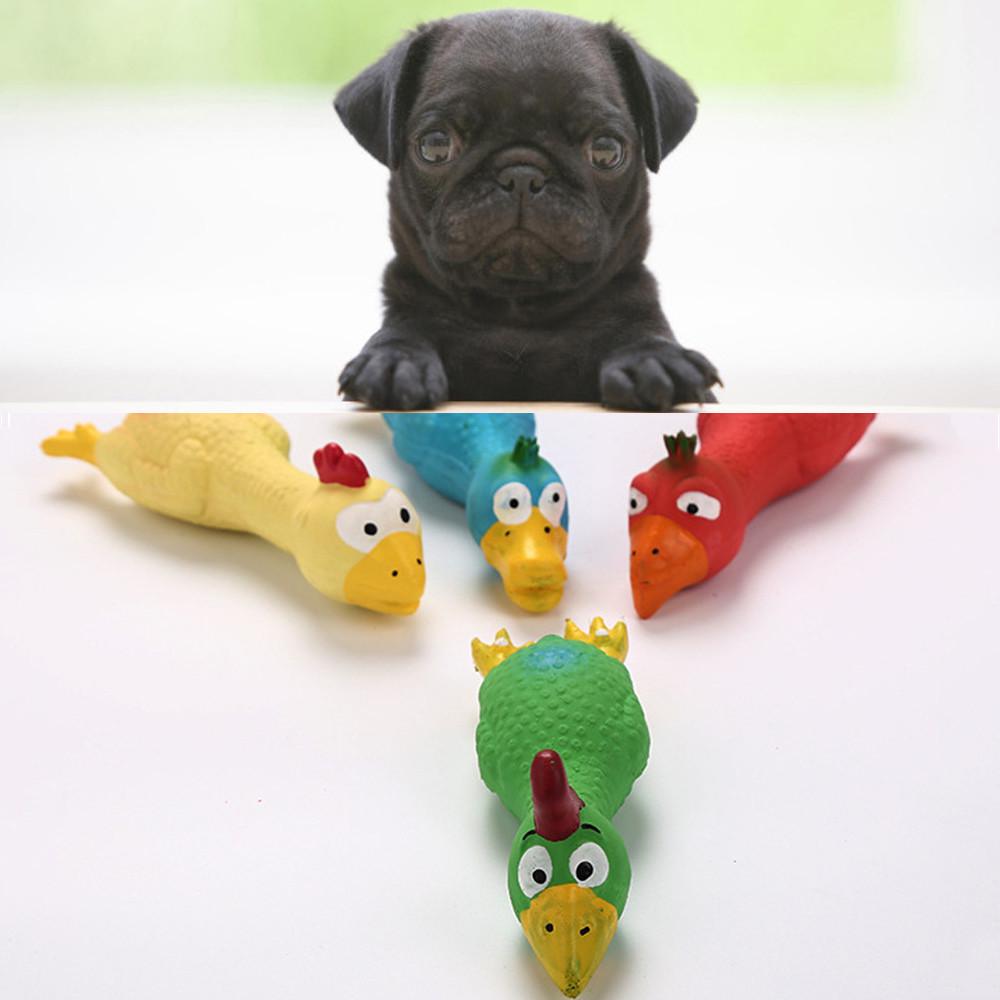 Hund Welpe Katze kaut Spielzeug natürliche Latex Huhn Haustier Hund natürliches Latex quietschend kauen Spielzeug