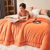 Autumn Winter Warm Fleece Blanket for Bed Queen Size Super Soft Imitation Lambswool Thick Blanket Cozy Plush Couch Throw Blanket