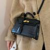 Hand-held small bag women's versatile 2025 new autumn and winter fashion texture cross-body small bag high-end shoulder bag