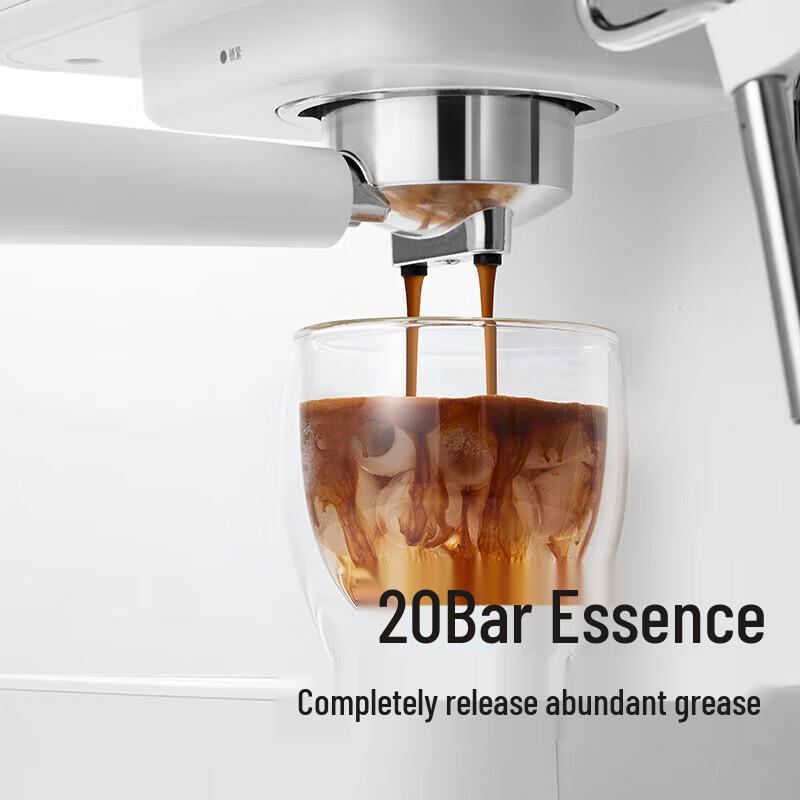 Petrus PE2170 Smart Semi-Automatic Espresso Machine CN plug (adapter included)