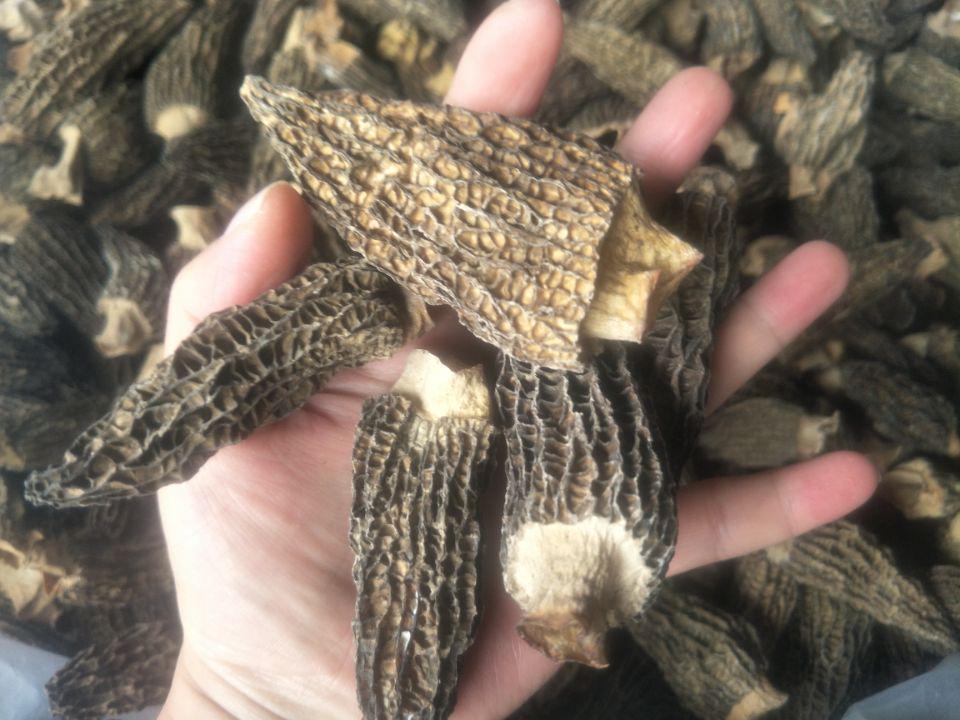 Sitong Junye Dried Morel Mushrooms - Yunnan Plateau Specialty