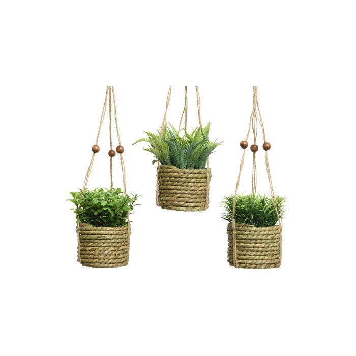Závěsná umělá rostlina - několik modelů.