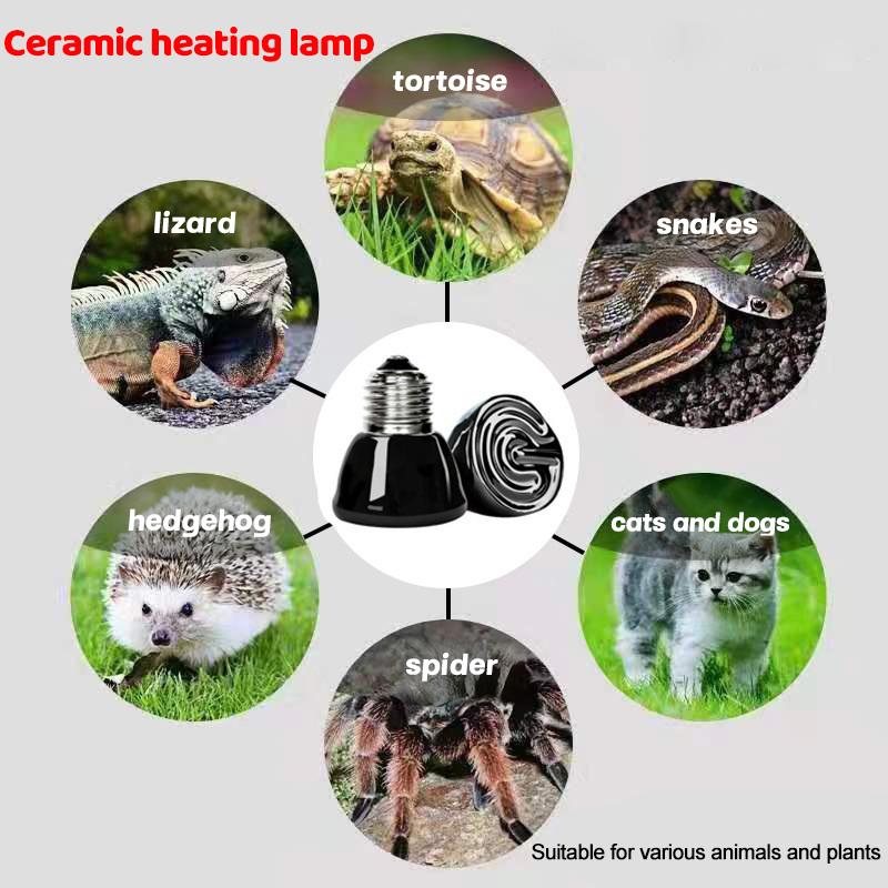 1Pc Reptile Pet Box No Light Far Infrared Ceramic Heating Lamp E27 Small Mini Heat Lamp 25W 50W 75W Mini Pet Heating Lamp