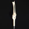 Korean Style Creative Bone-Shaped Ballpoint Pen for Students