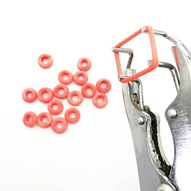 Găleată pentru hrănire cu plasă Găleată pentru hrănire pentru pui 1,5 kg Găleată pentru hrănire pentru pui