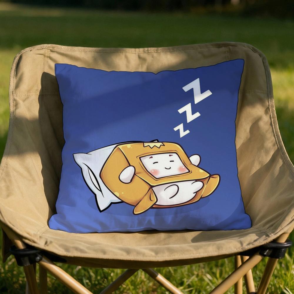 Cartoon LLankyboxes Cushion Cover Soft Reversible Durable Pillow Cover MultiScene Use for Home Car Daily Comfort