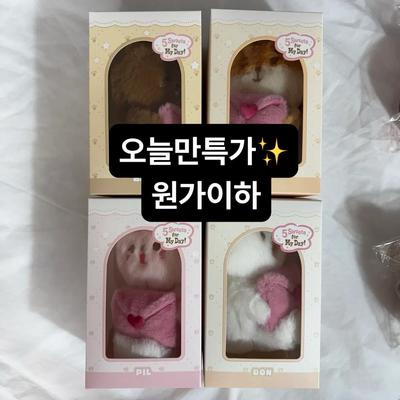 Today's Special) DAY6 VOICE DANIMALZ Set Below Original Price