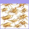 Realistic Miniature Insect Model Set Featuring Golden Stag Beetles Scorpions And Bees For Collectors And Educational Purposes