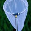 Compact Stainless Steel Telescopic Insect & Fish Net: Butterfly, Dragonfly, Tadpole, Shrimp Catching Gear