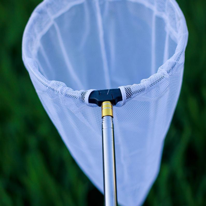 Compact Stainless Steel Telescopic Insect & Fish Net: Butterfly, Dragonfly, Tadpole, Shrimp Catching Gear