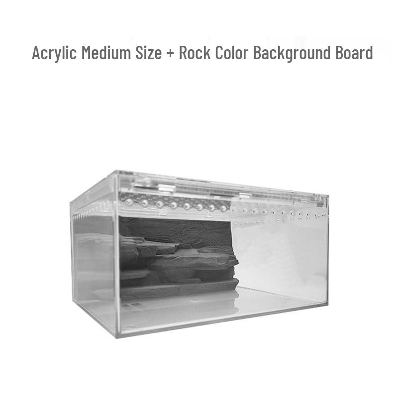 Acrylic Terrarium for Reptiles and Insects