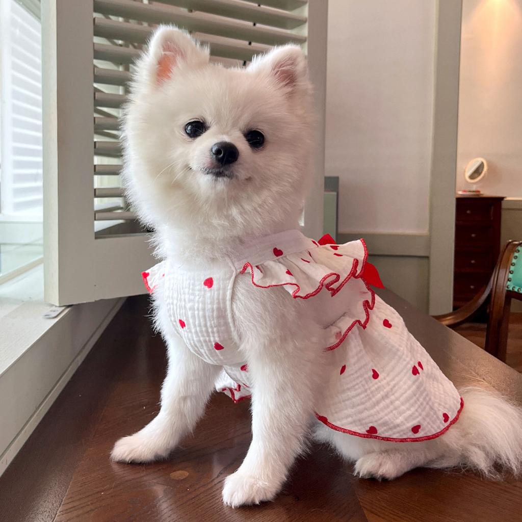 Dog Spring Bowknot Dress T-Shirt Princess Pullover Clothing Apparel Cute Apparel for Spring and Summer