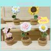 Handmade Potted Plant Artificial Knitting Flower Decoration Diy