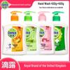 Dettol Plant Care Antibacterial Hand Wash