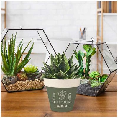 [A1629] - Green 'Messages' Bamboo Plant Pot (BotanicalNatural) -  14x12cm