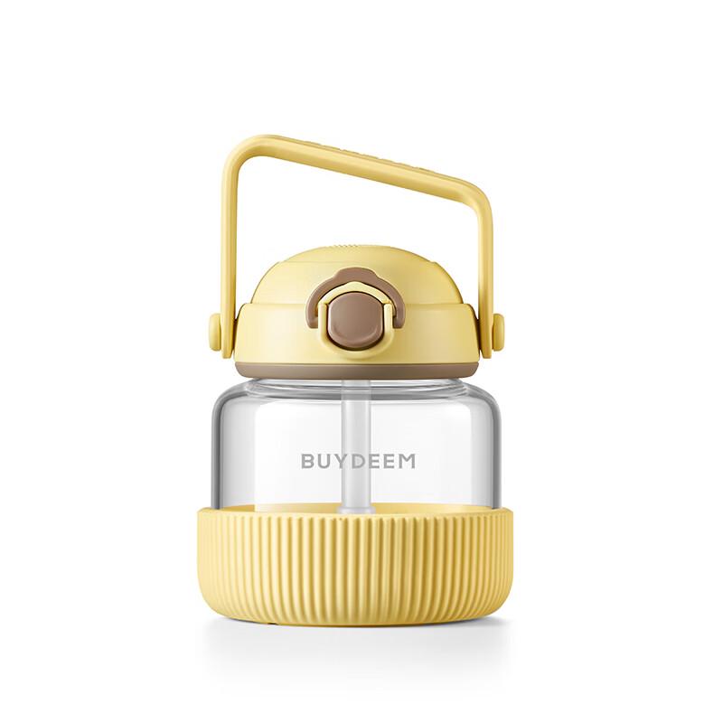 Beiding 600ml Borosilicate Glass Water Bottle with Straw