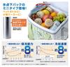 Logos Ice Pack Subzero Pack GT-16℃/Compact (2pcs) 81660609