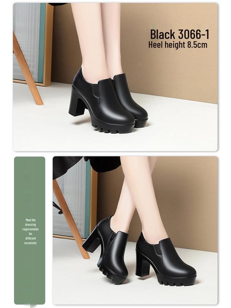 Women's Chunky Heel Platform Loafers - 2024 Spring/Autumn, Round Toe, Leather, Slip-On, Waterproof.