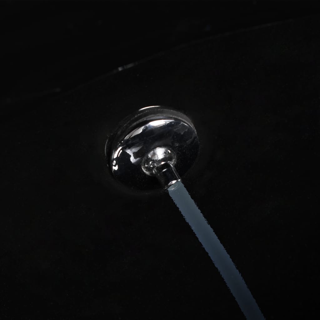 Wall Mounted Toilet without Rim Flush and with Bidet Function Ceramic Black