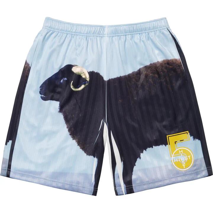 Supreme Damien Hirst Soccer Short Black L