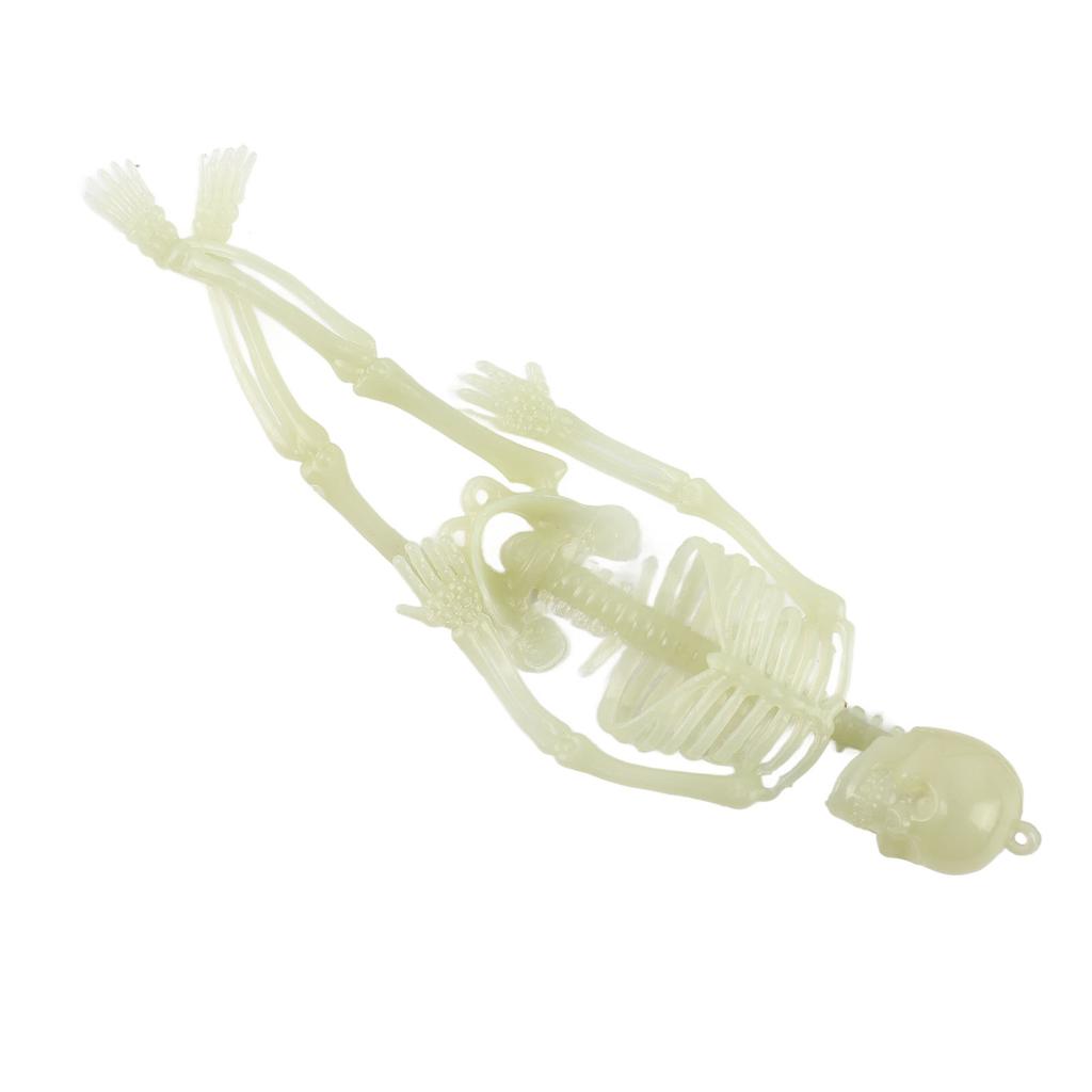 Glowing In The Dark Halloween Skeleton Decor Luminous Lifelike Skeleton Model for Front Lawn