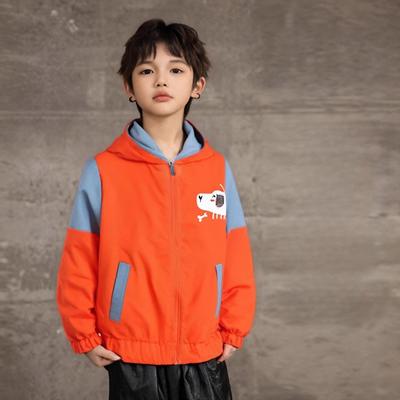 Boys and Girls Fashion Casual Jacket Spring and Autumn Children Hooded Cartoon Jacket