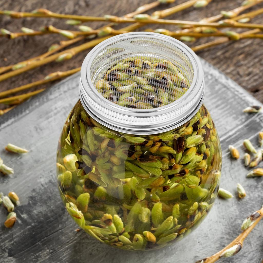 3Pcs Stainless Steel Sprouting Lids Wide Mouth Mason Jars for Making Organic Broccoli Bean Lentil Sprouting Jar